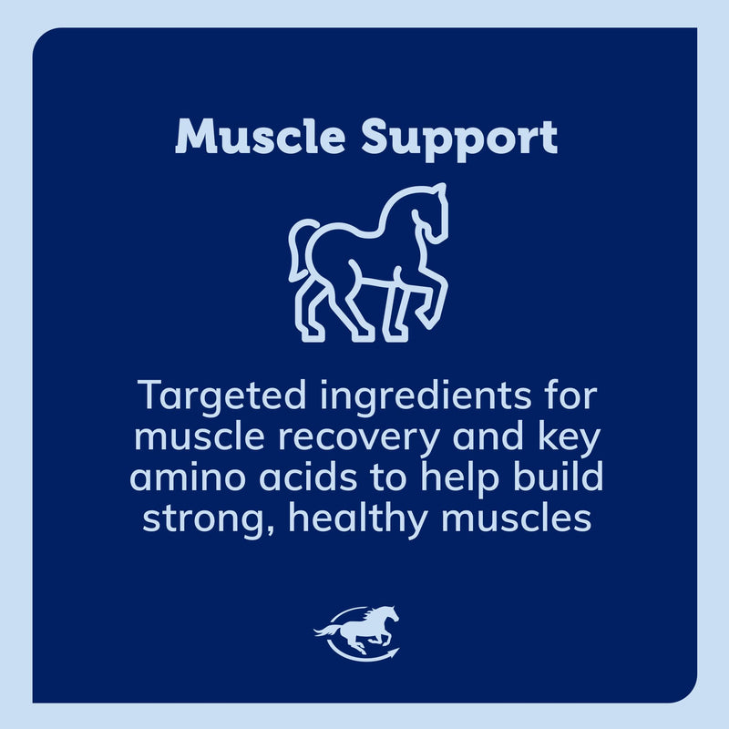 SmartEquine Acetyl L-Carnitine HCL Powder – Horse Energy & Muscle