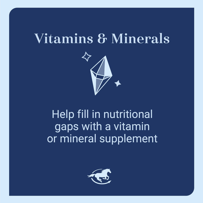 SmartEquine Poly Zinc Powder – Zinc Supplement for Horses | Hoof, Coat & Bone Health | 10 lb