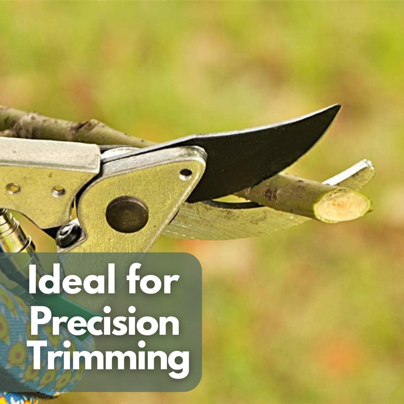 Pruning Shears 8 Inch Carbon Steel Garden Secateurs