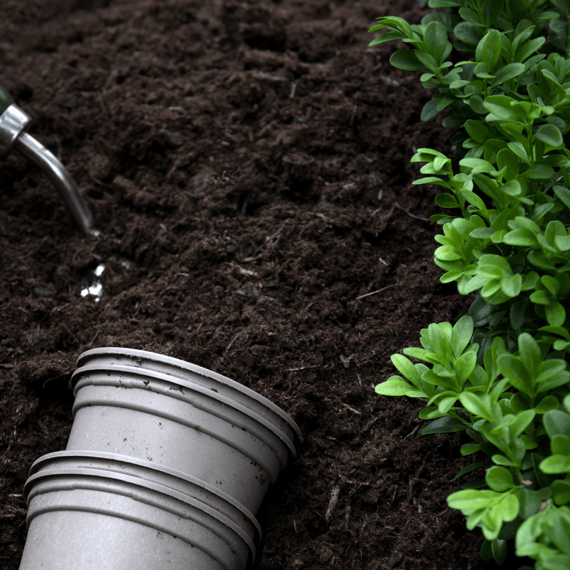 Multi Purpose Welsh Compost