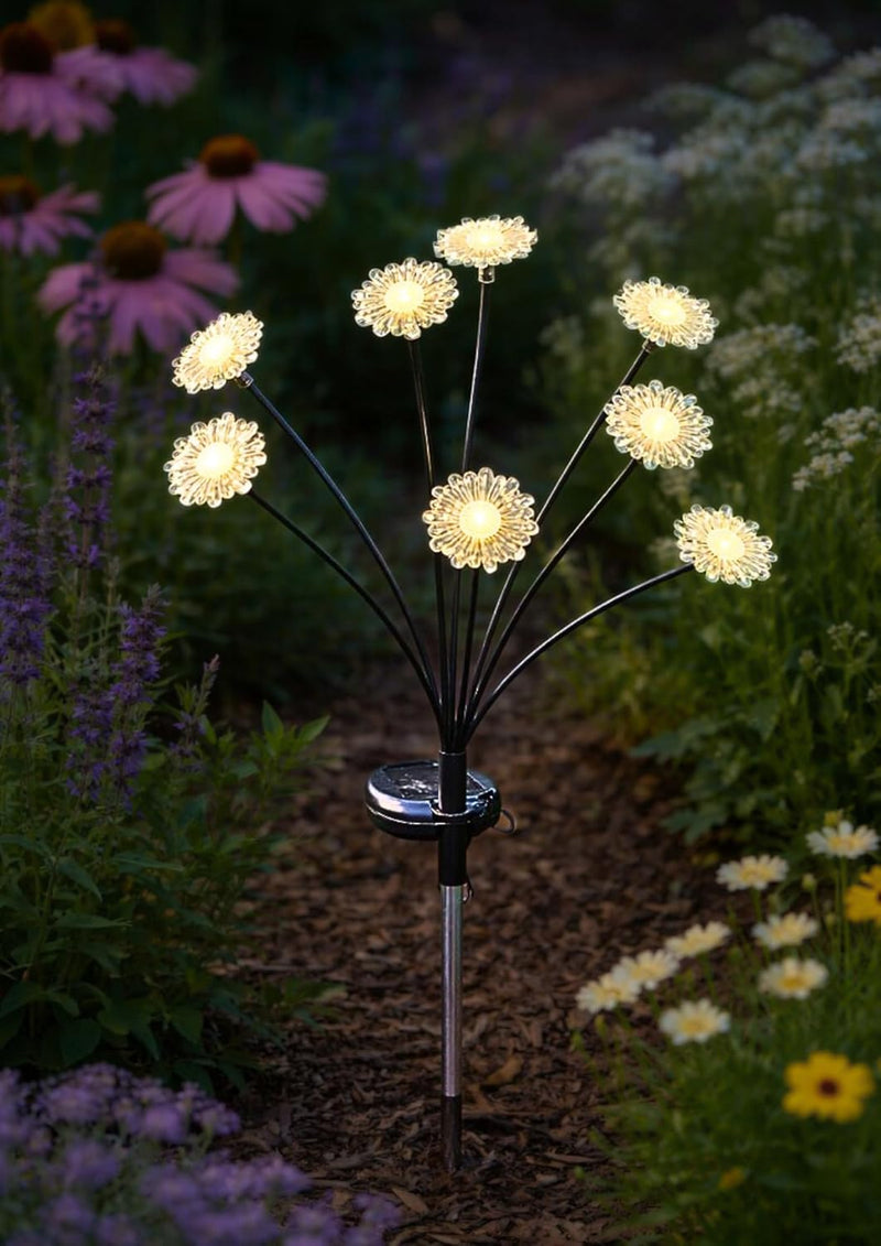 Solar Daisy Stake Lights with 8 LED Flower Stems 70cm