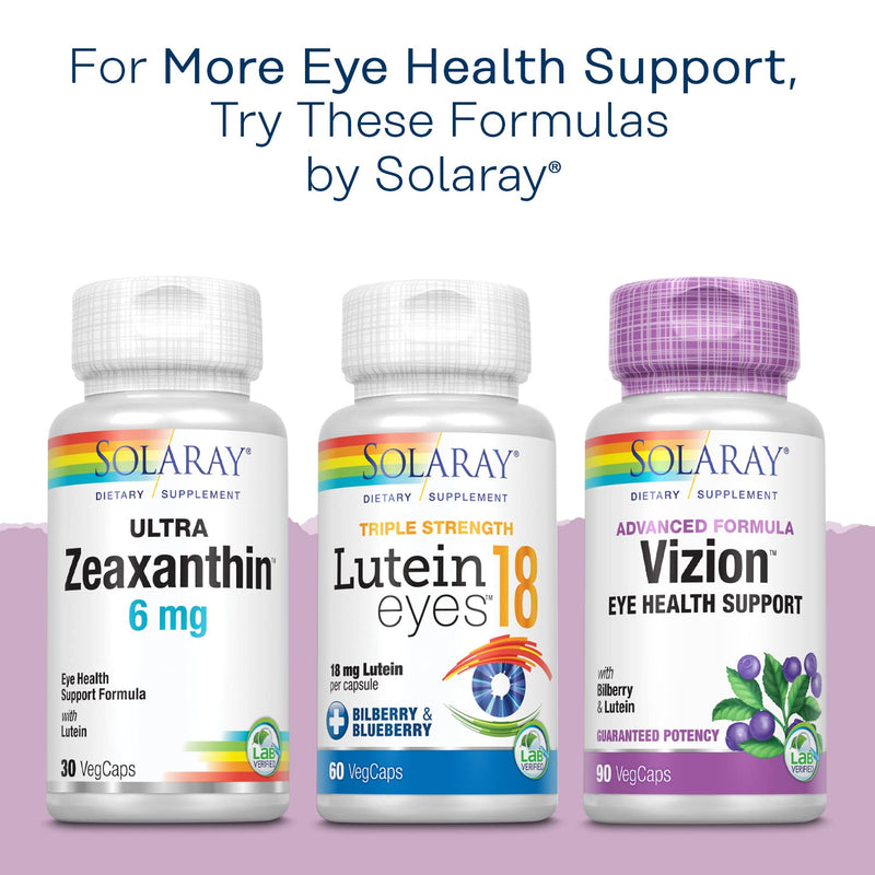 SOLARAY Bilberry Berry Extract 60 mg per Capsule | Vision & Circulation Support | 120 VegCaps