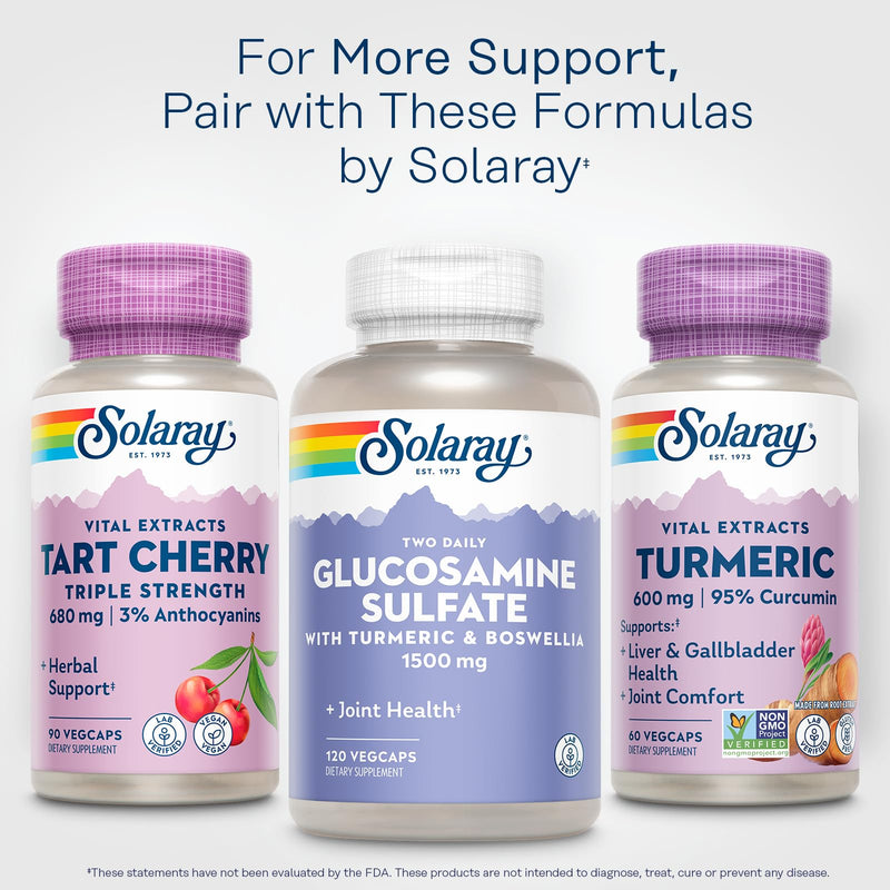 SOLARAY Turmeric 600mg – 95% Curcuminoids | Joint & Liver Support