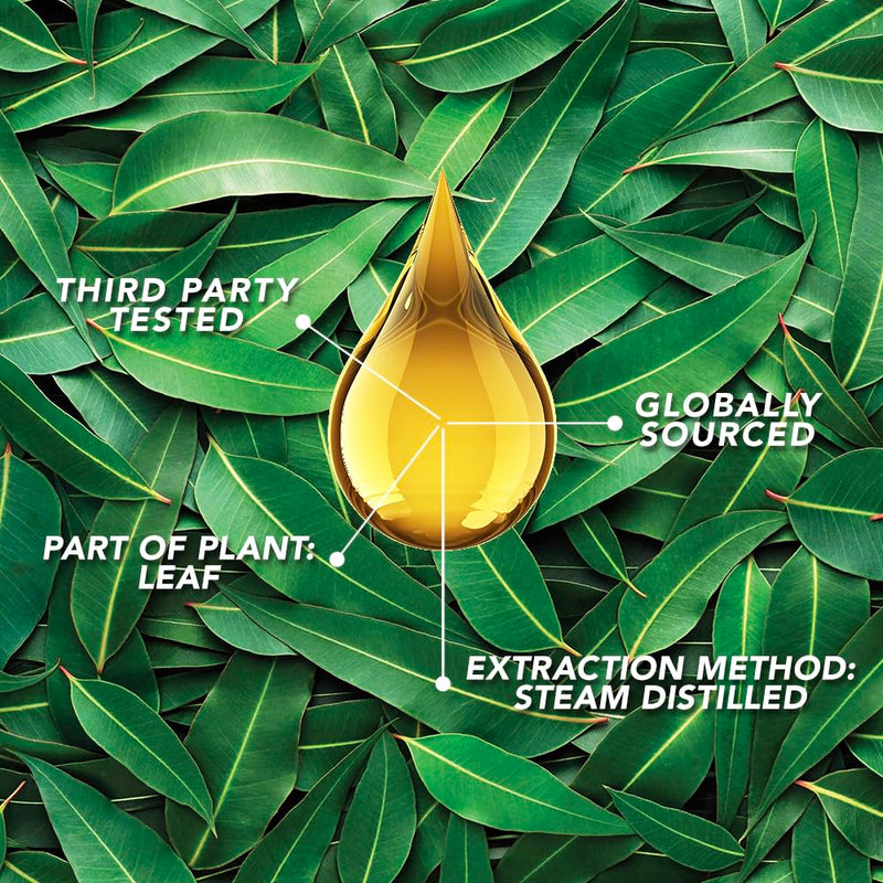 SpaRoom Aromatherapy Eucalyptus Essential Oil – Invigorate (100% Pure & Undiluted, 30 mL)