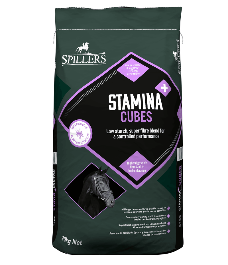 Spillers Stamina+ Cubes