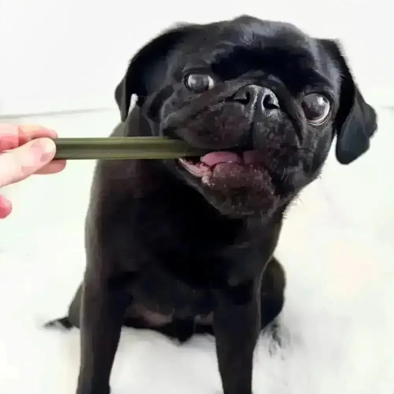 Spinach & Cranberry Chew Stick Vegetable Chew For Dogs