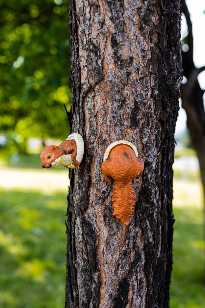 Novelty Red Squirrel Tree Peeker Garden Ornament