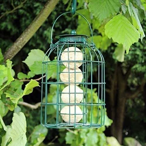 Caged Fat Ball Bird Feeder with Squirrel Guard 25cm