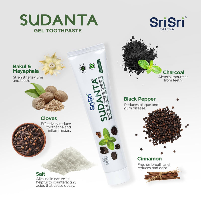 Sri Sri Tattva Sudanta Charcoal Toothpaste Gel – SLS Free & Fluoride Free Herbal Toothpaste with Neem & Ayurvedic Herbs – Natural Whitening & Gum Care – 100 g Tube (Pack of 1)