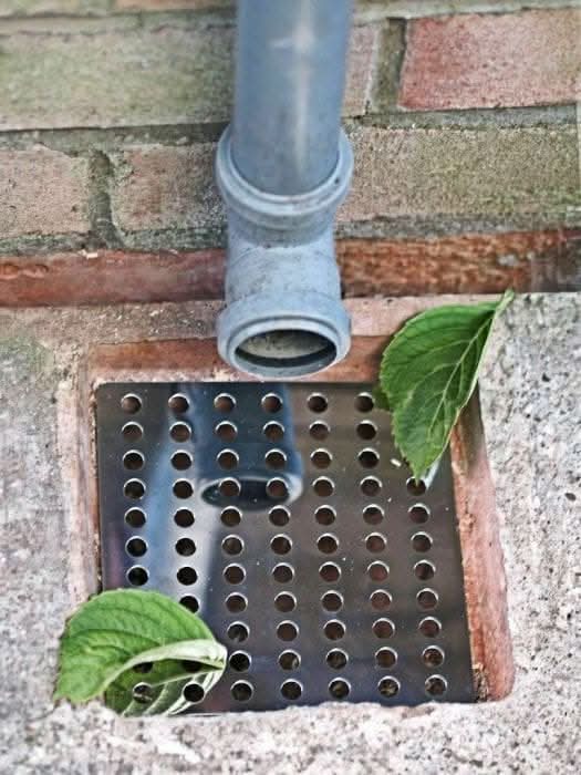Rustproof Stainless Steel Swirl Drain Guard Cover 15cm