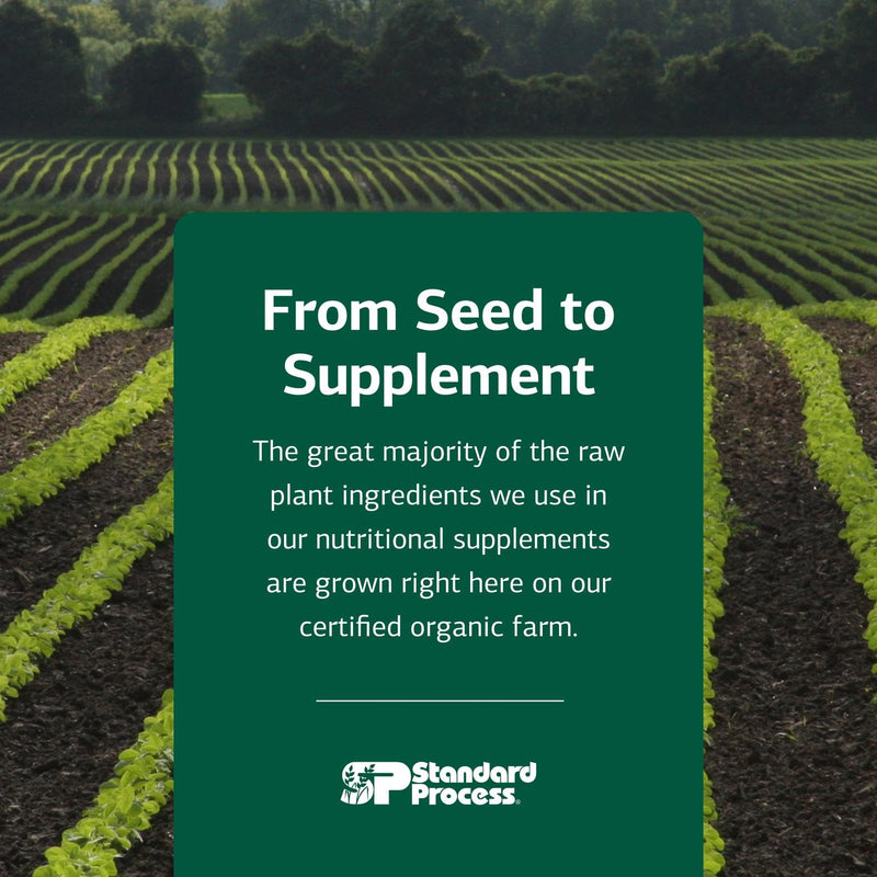 Black Currant Seed Oil by Standard Process – Supports Blood Flow, Immune Function & Tissue Health | Gluten-Free | 60 Softgels