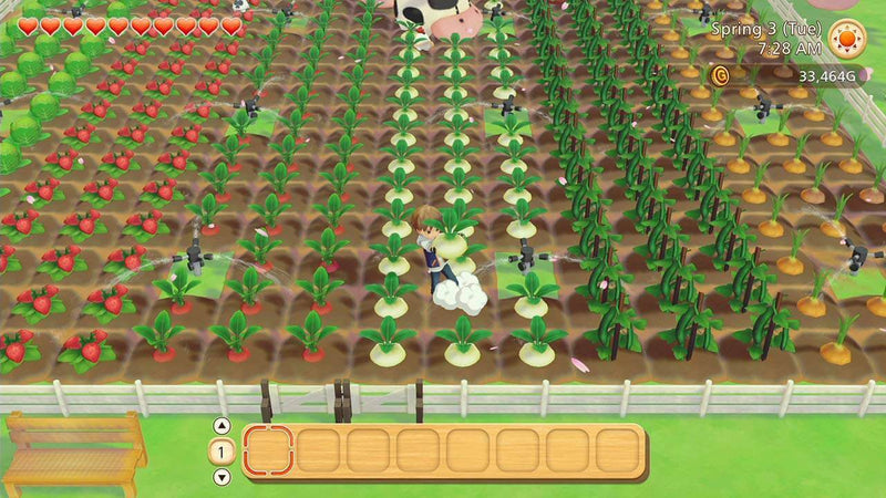 Story of Seasons Pioneers Of Olive Town Nintendo Switch