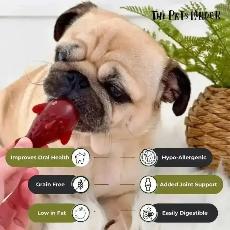 Strawberry & Banana Dolphin Vegetable Chew For Dogs