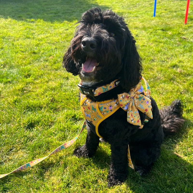 Summer Buzzin' No Pull Tactical Dog Harness – Yellow Insect Print, Adjustable, Step-In (XS-XL)