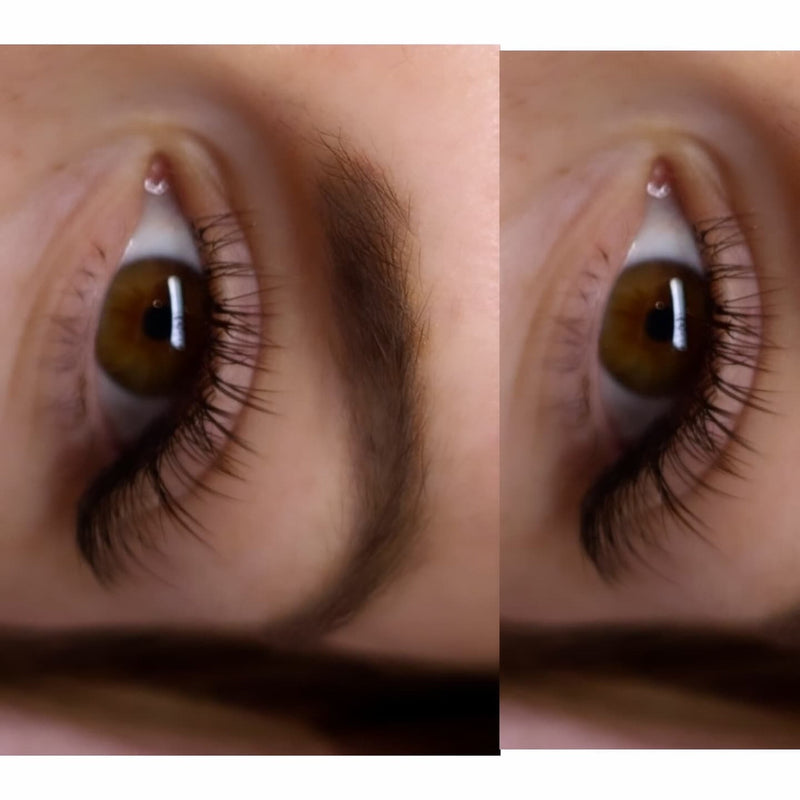 Brown Cashmere Flat Classic Lashes – Mixed Tray