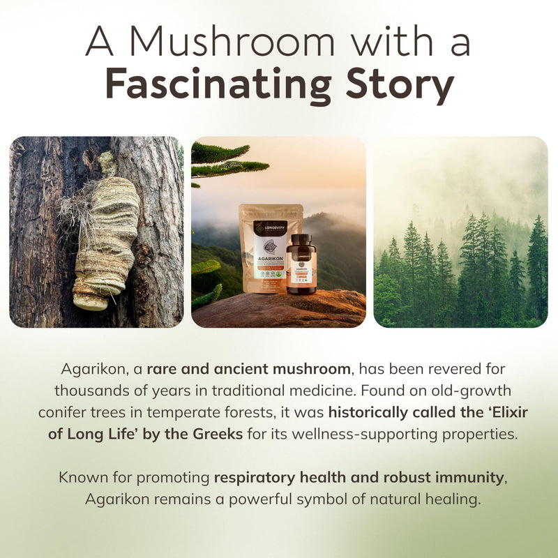 Longevity Botanicals Agarikon Mushroom Extract Capsules (120) – 10:1 Concentrate, 100% Fruiting Bodies