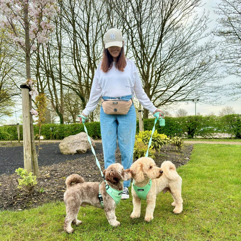 PupClub Dog Walking Bum Bag - Tan