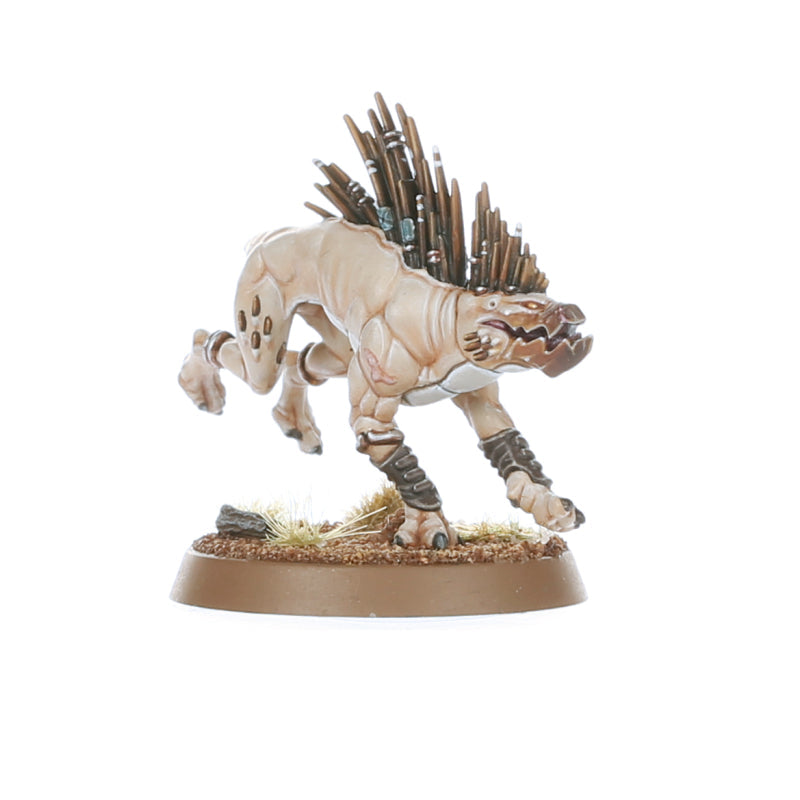 T'au Empire: Kroot Hounds