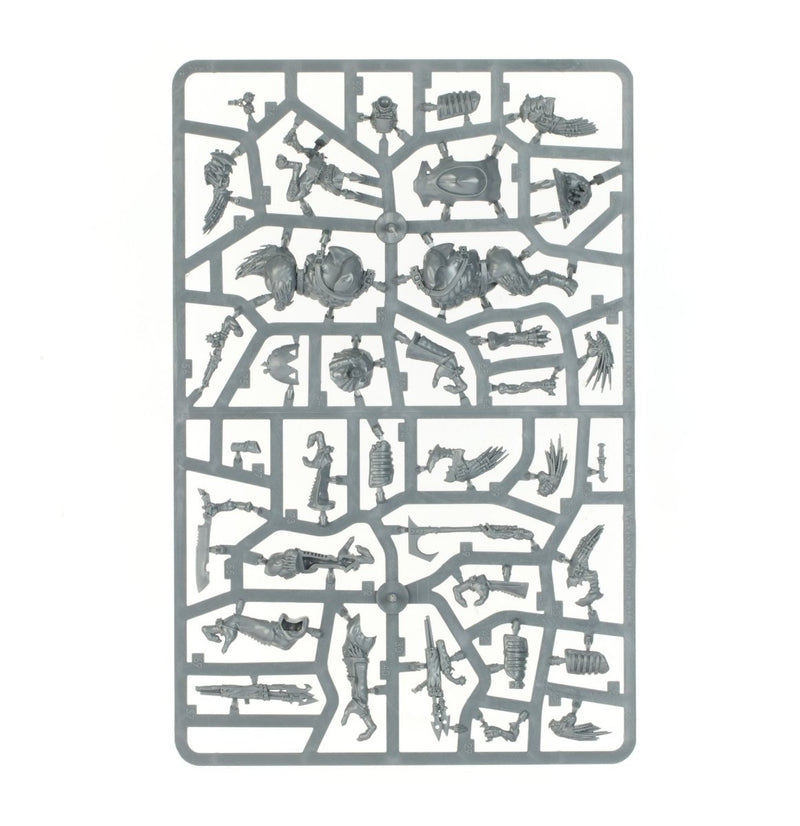 T'au Empire: Krootox Rampagers