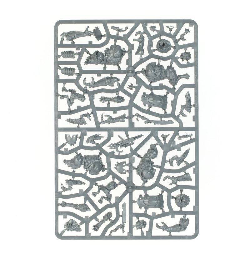 T'au Empire: Krootox Rampagers