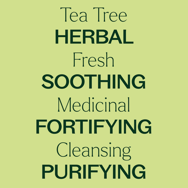 Tea Tree Essential Oil - 100% Pure & Undiluted (10 mL) | Plant Therapy