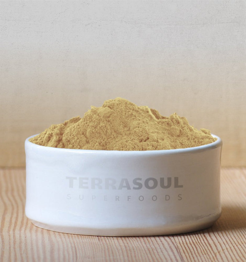 Terrasoul Organic Camu Camu Powder 3.5 oz – Amazonian Superfruit for Immune Support, Vitamin C