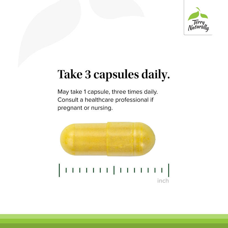 Terry Naturally Curamin – Curcumin for Circulation & Endorphin Support – 120 Capsules (Pack of 2)