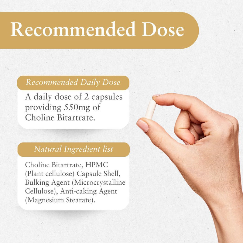 Choline Bitartrate Food Supplement – 60 Vegan Capsules