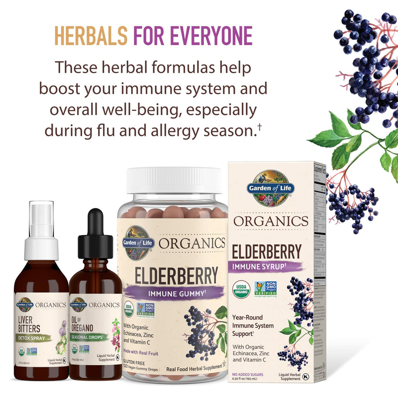 Garden of Life Organics Elderberry Immune Syrup – Sugar Free, 6.59 floz (195 mL) for Kids & Adults