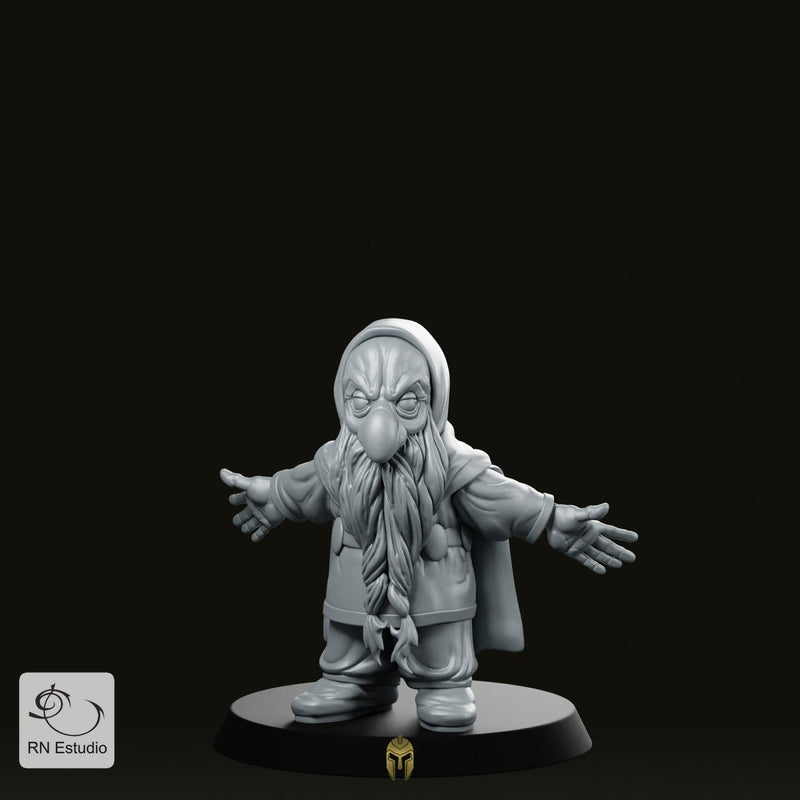 Thorin LOTR Miniature Dwarf Hero Wizard Resin