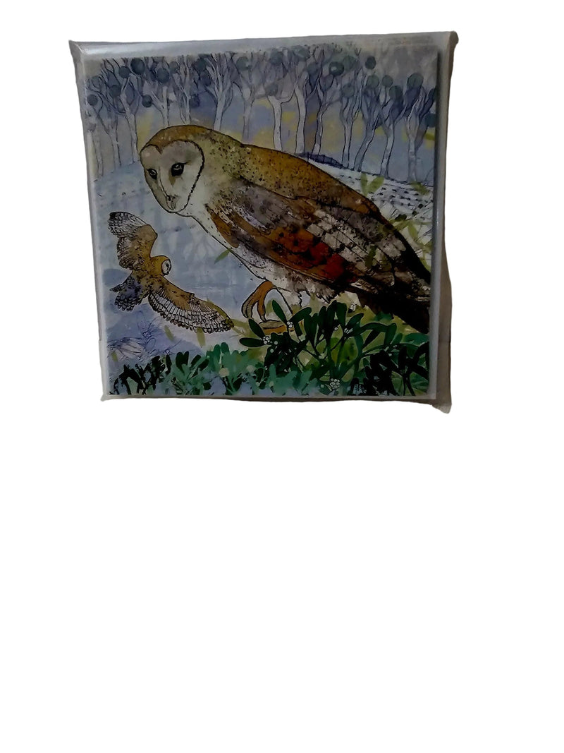 winter owl    by shelley  perkins      6  pack cards
