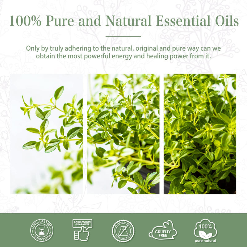 Thyme Essential Oil 30ml – PHATOIL Pure Aromatherapy for Diffusers & DIY Crafts