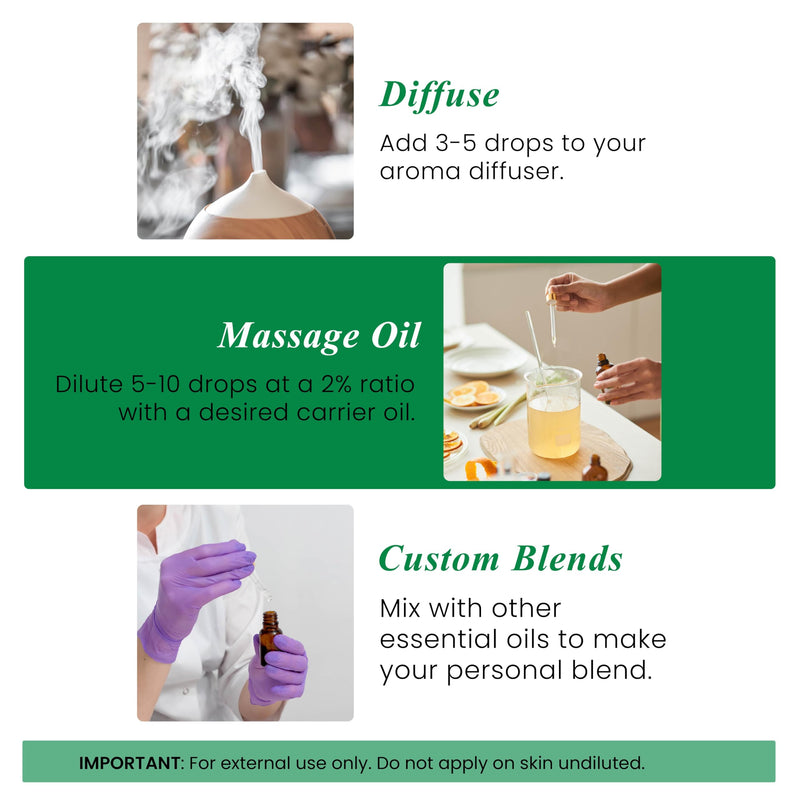 Handcraft Blends Thyme Essential Oil – 1 Fl Oz – 100% Pure & Natural