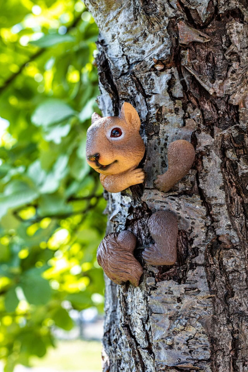 Resin Tree Hugging Squirrel Peeking Garden Ornament