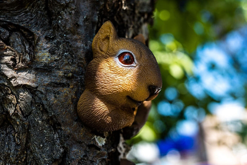 Resin Tree Hugging Squirrel Peeking Garden Ornament