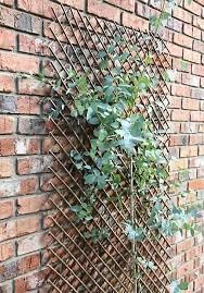180cm x 90cm Expandable Wooden Garden Trellis Panel