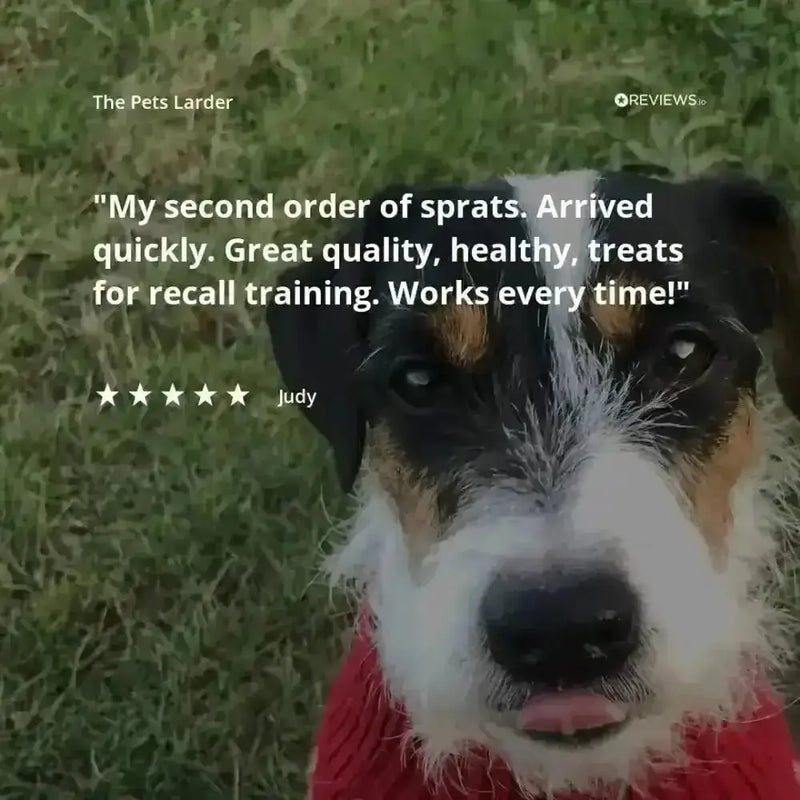 Turkey Neck Natural Meat Chew For Dogs