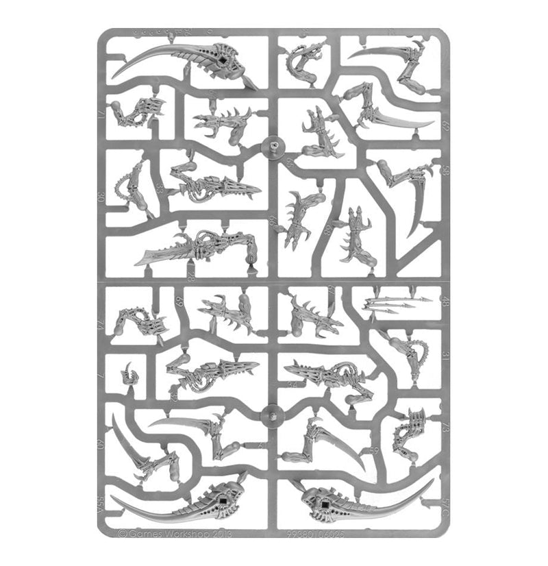 Tyranids: Warriors