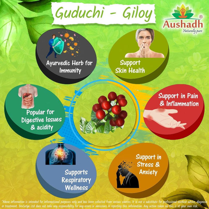 Pure and Potent Giloy Guduchi Capsule (Tinospora Cordifolia)