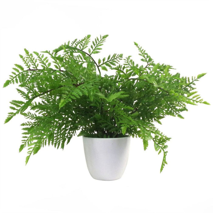 Pack of 3 x 30cm Artificial Ferns Southern Wood Lady and Royal Potted