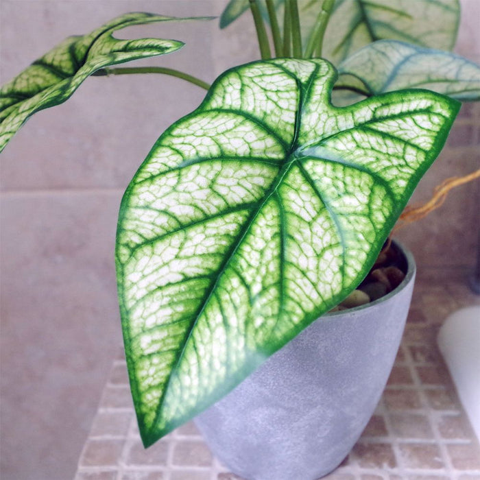 40cm Artificial Taro House Plant - Photorealistic Leaves in Decorative Planter