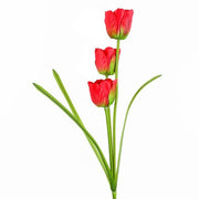 https://images.avasam.com/?url=https://avasamnew.s3.amazonaws.com/product/GB010188/S0671589117/main.png&w=500