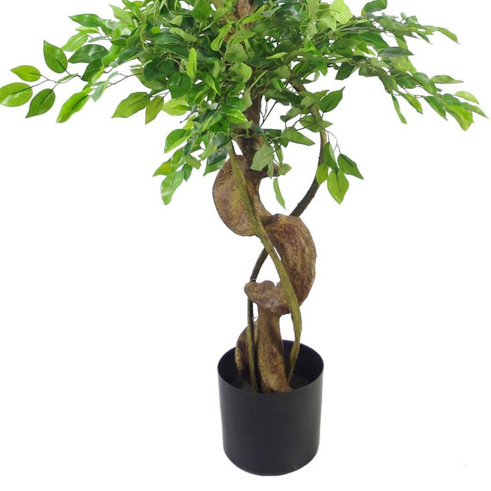 150cm Twisted Trunk Artificial Japanese Ficus Tree & Gold Planter - Premium Quality