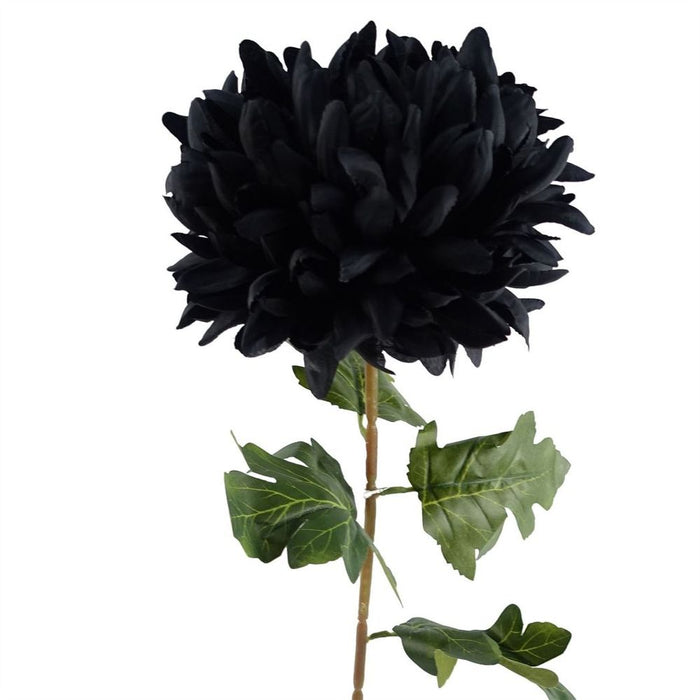 6x Black XL Reflex Chrysanthemum - Silk Petals - 75cm