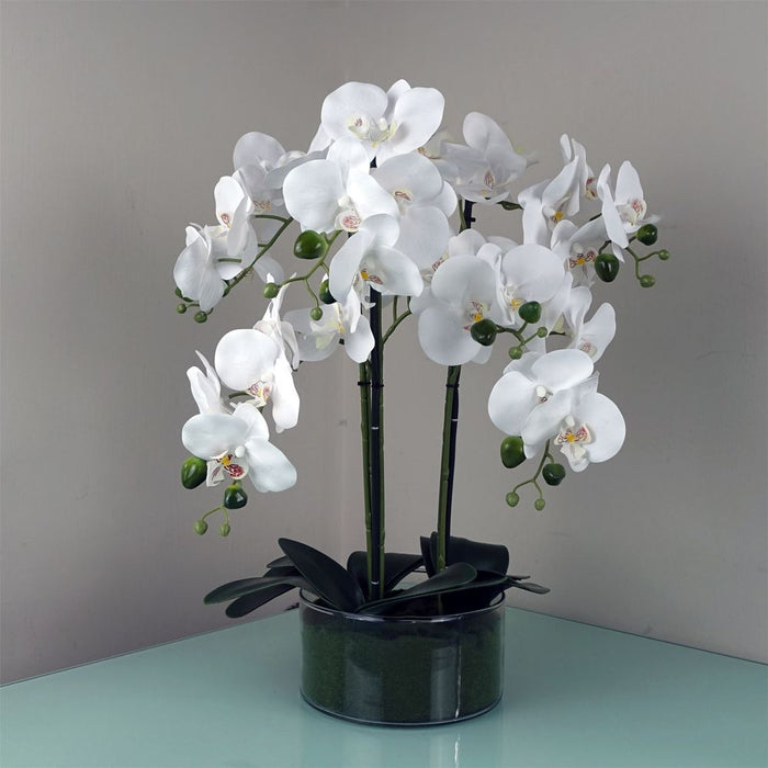 50cm Artificial Orchid with Glass Planter White