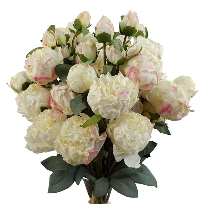 Premium Cream Peony Artificial Flower Stems - 6 Bundles, 24 Flowers, 18 Buds