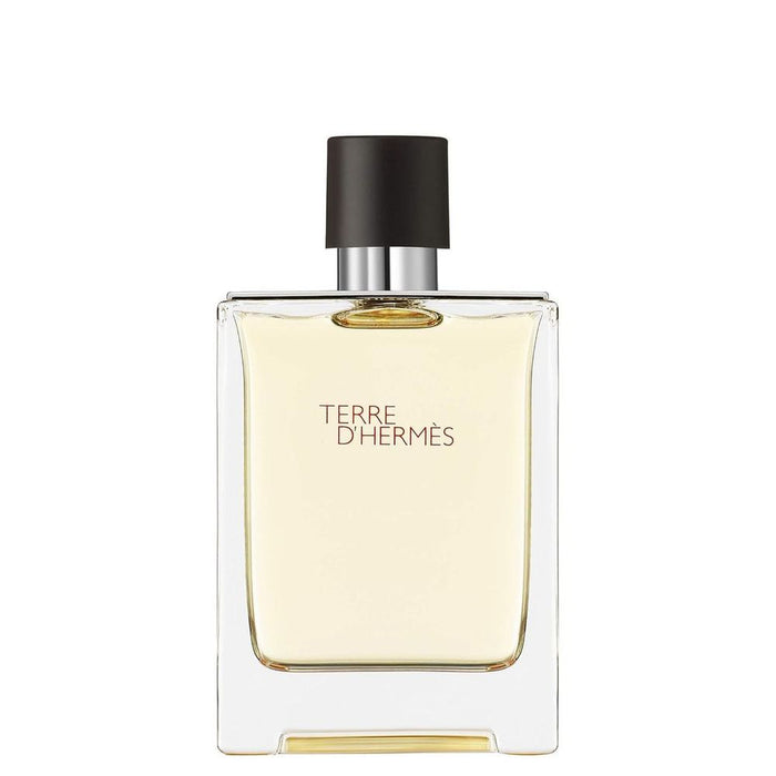 Hermes Terre D'hermes Eau De Toilette Spray 100ml