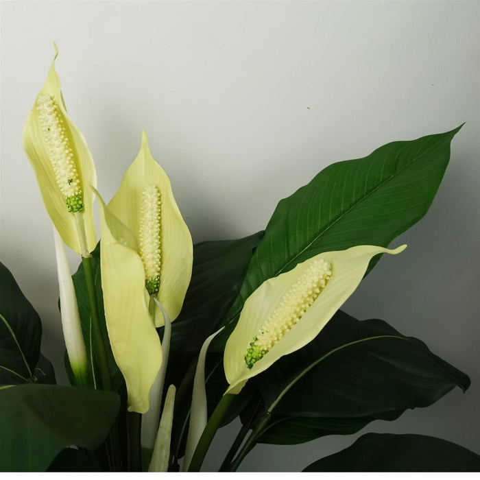 Realistic Artificial Peace Lily - White Spathiphyllum