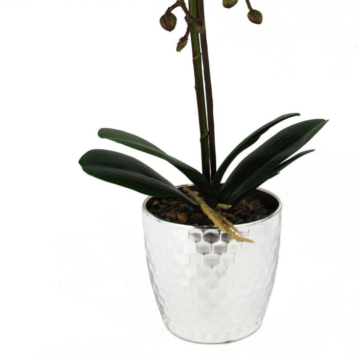 50cm Phalaenopsis Orchid Artificial - Dark Pink Silver