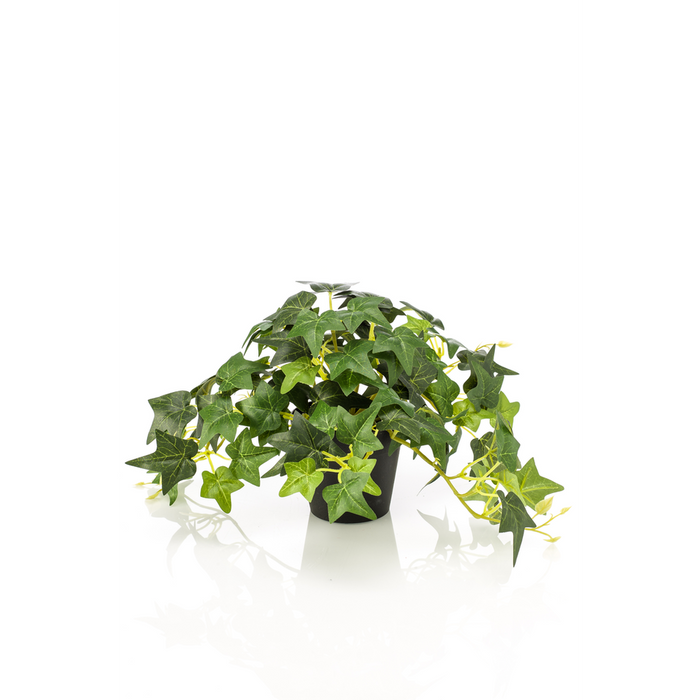 Realistic Artificial Hedera Ivy Potted Plant | Green Foliage | Indoor Decor | 19cm Height